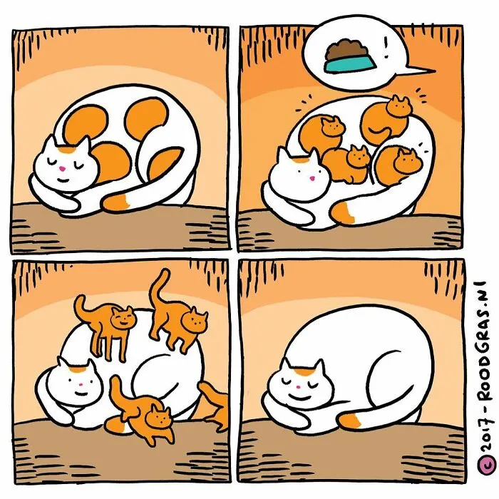 50 Feel-Good Wordless Cat Comics That Will Make Your Day By This Dutch Illustrator