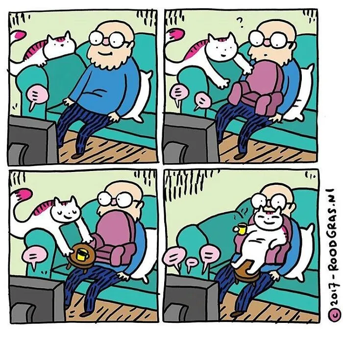 50 Feel-Good Wordless Cat Comics That Will Make Your Day By This Dutch Illustrator