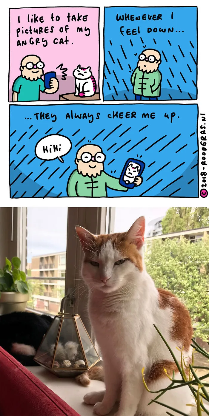 50 Feel-Good Wordless Cat Comics That Will Make Your Day By This Dutch Illustrator
