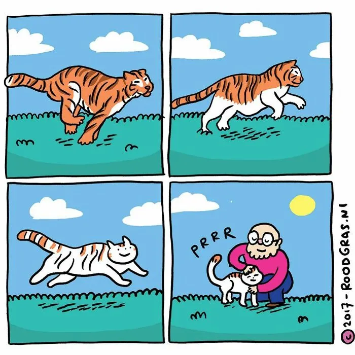 50 Feel-Good Wordless Cat Comics That Will Make Your Day By This Dutch Illustrator