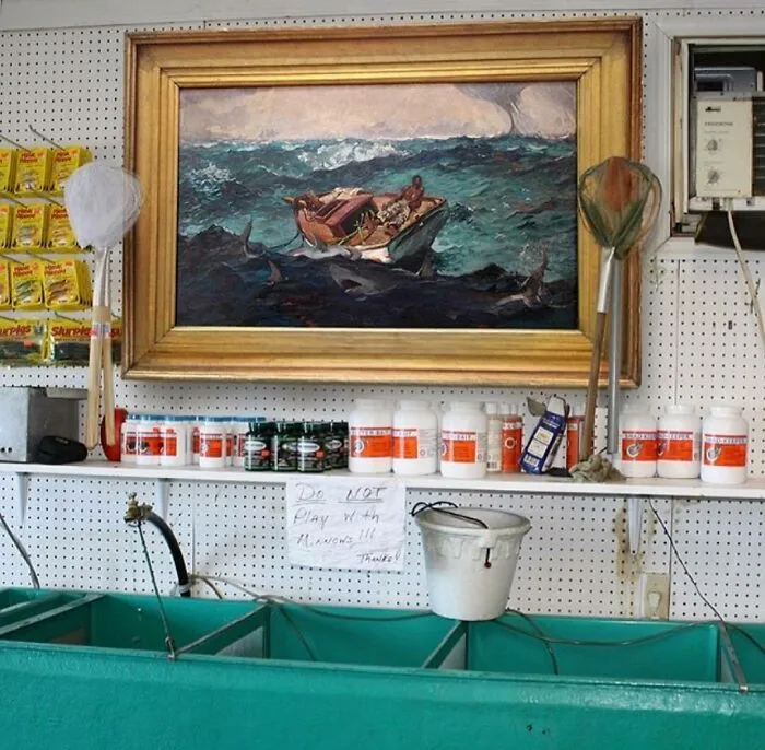 This Instagram Page Showcases The Contrast Between Great Art And Ugly Rooms (35 Posts)