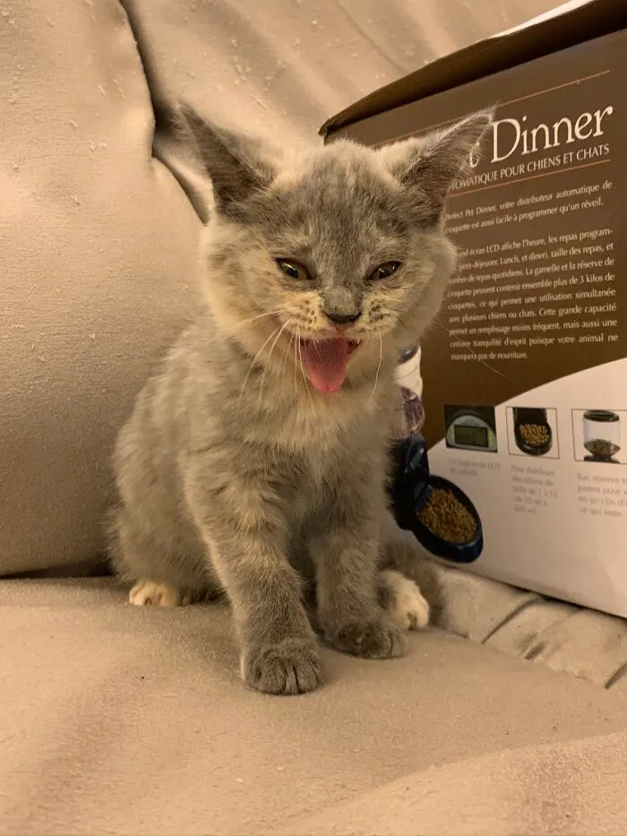 Fear Me