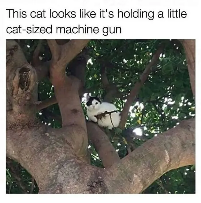 50 Pics That Might Make You Look Twice To Understand What You’re Seeing