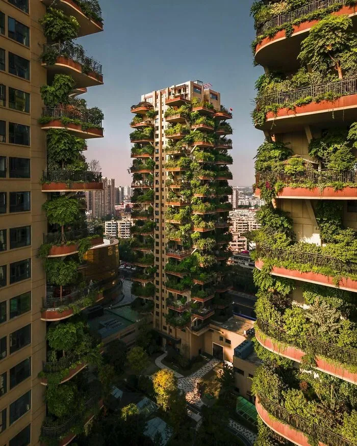 Buildings In Chengdu, Sichuan, China