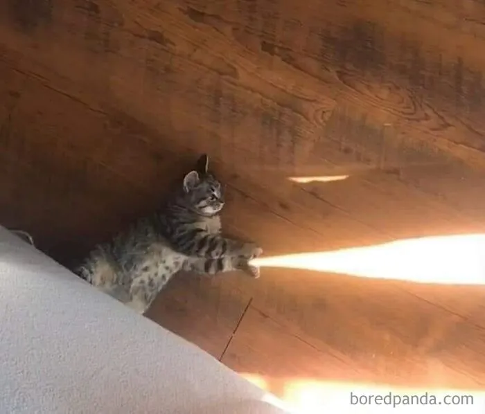 40 Posts To Welcome You Into ‘The Weird Side Of The Internet’
