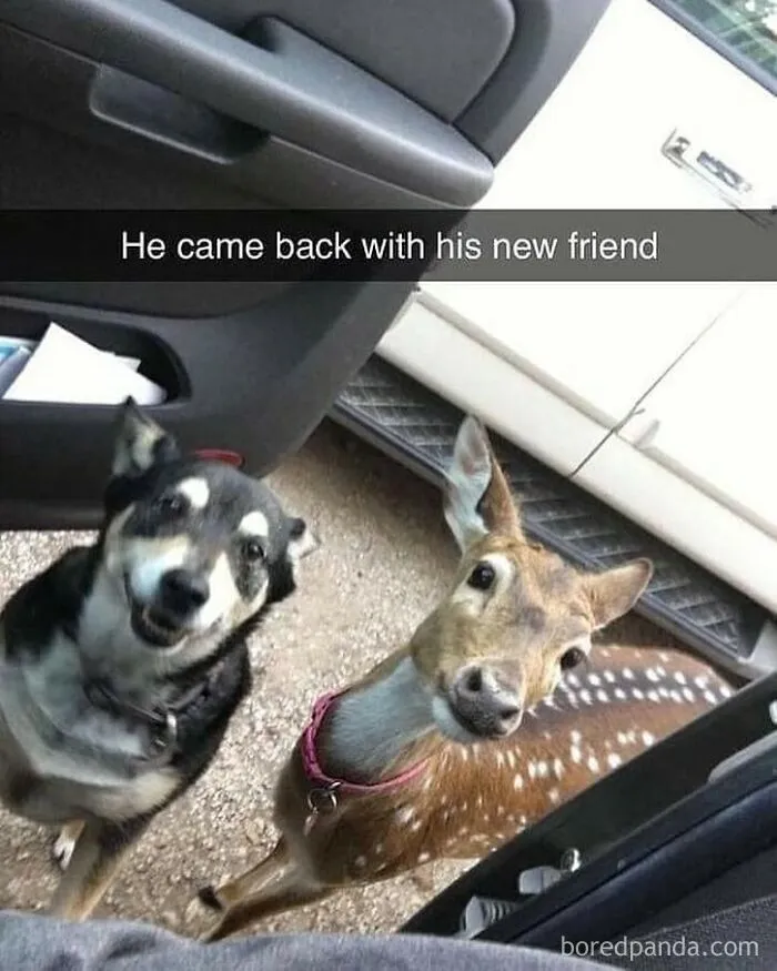 40 Posts To Welcome You Into ‘The Weird Side Of The Internet’