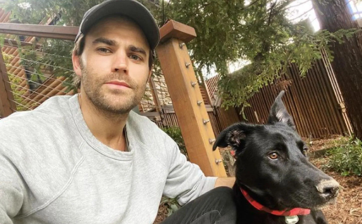 Celebrities Choose Vegan Food
