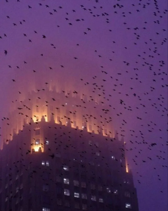 “Evil Buildings”: 50 Of The Strangest And Most Unique Constructions From Around The World