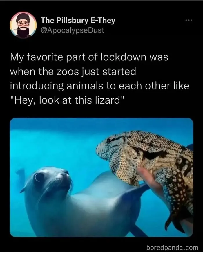 30 Of The Funniest Animal Memes To Make Your Day, As Seen On This Instagram Page