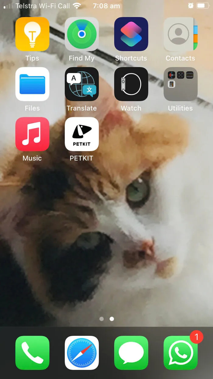 It's My Cat And A Symbol That Curiosity Does Not, In Fact, Kill The Cat