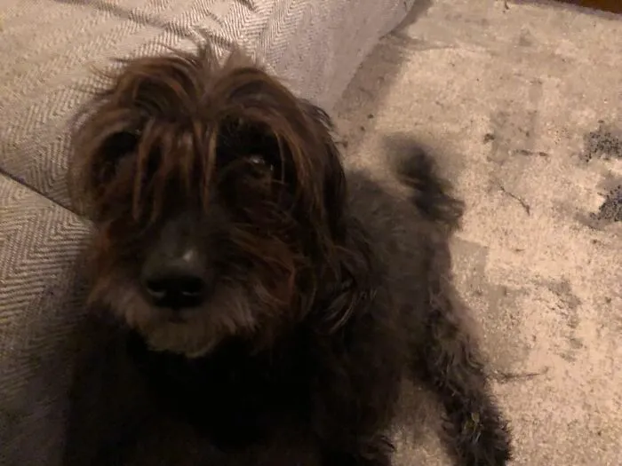 This Dog!!