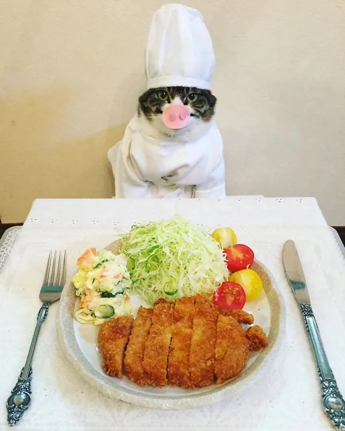 Cosplaying Cat Chef Dines With His Mom Every Night In Different Outfit (30 Pics)
