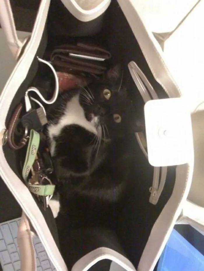 You Thought You Left Me At Home?