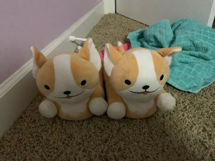 My Corgi Slippers