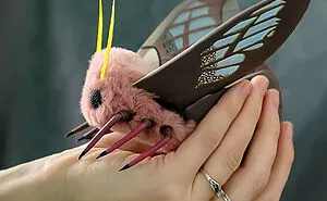 My 26 Fantasy Moth Dolls That Are Completely Handmade