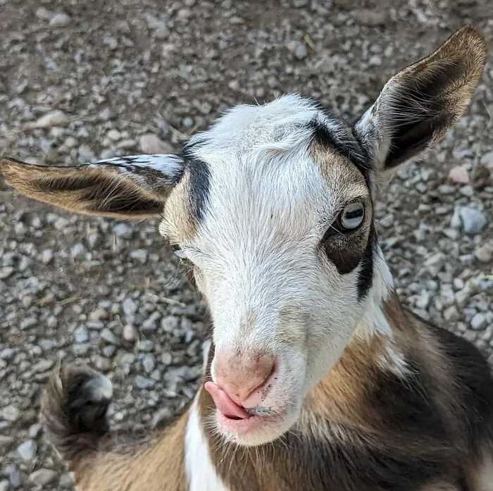 This Is Ricky 😁