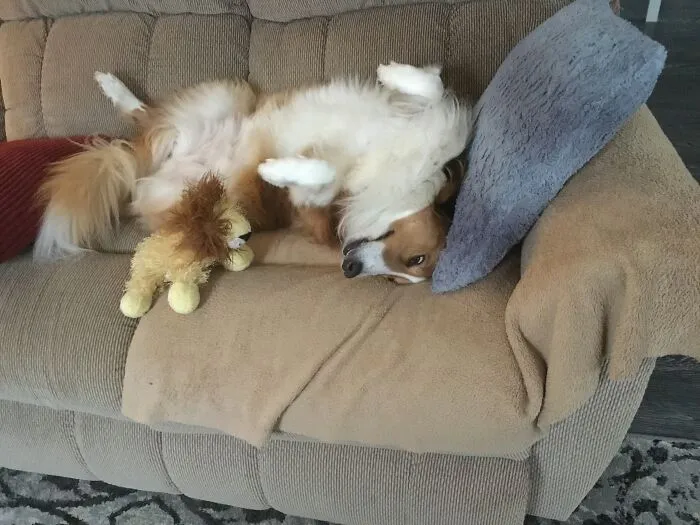 What?…sleeping This Way Is Normal…right?