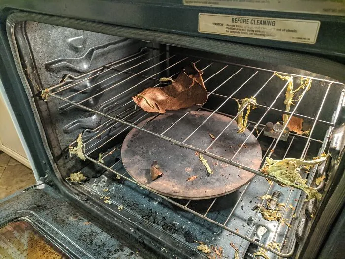 I Forgot To Score The Eggplant