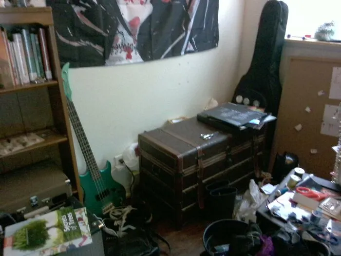 My Record Collection! They're On The Chest In Front Of The Guitar