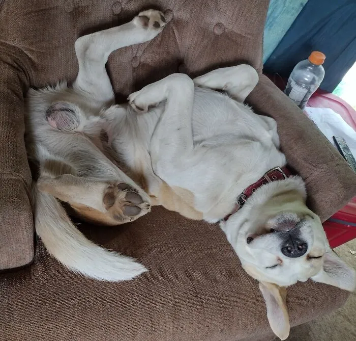 This Is How He Always Sleeps