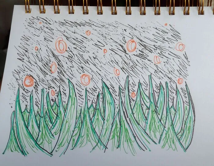 Not Much, But It Was The First Time I Saw Fireflies
