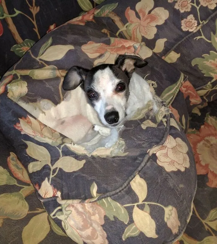 What!? I Was Cold