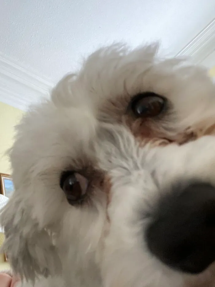 *bombastic Side Eye