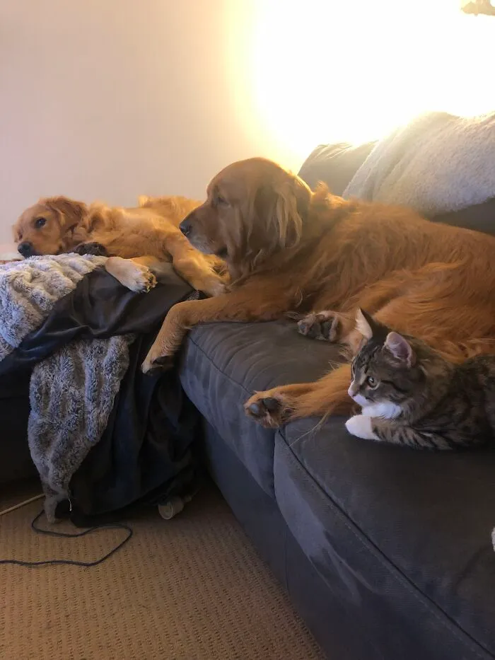 Netflix And Chill