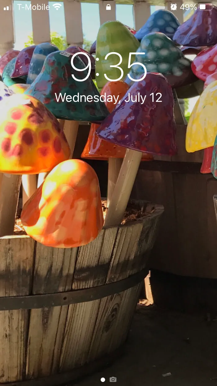 Ceramic Mushrooms
