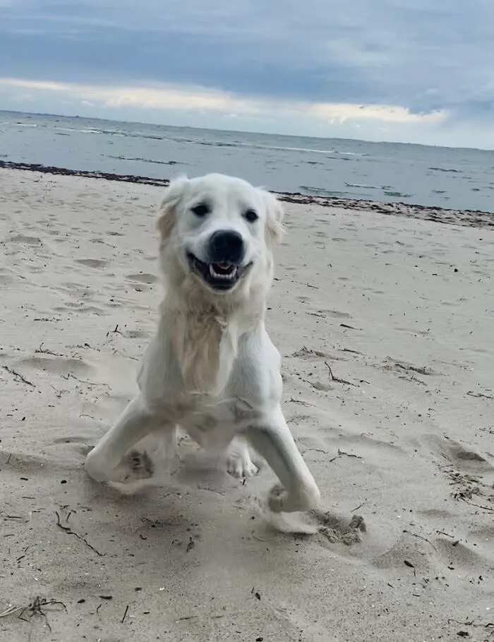Smile !