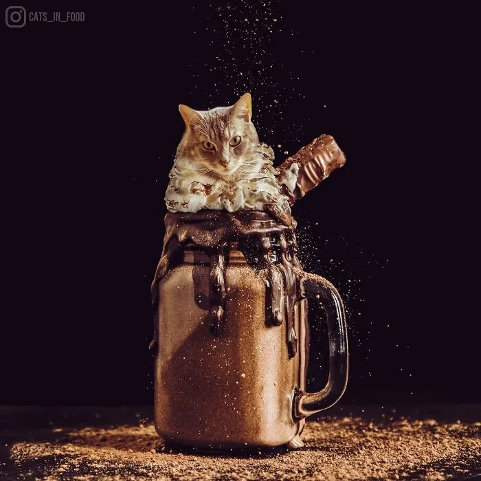 80 Weirdly Delicious Images Of Cats Photoshopped Into Food By This Artist (New Pics)