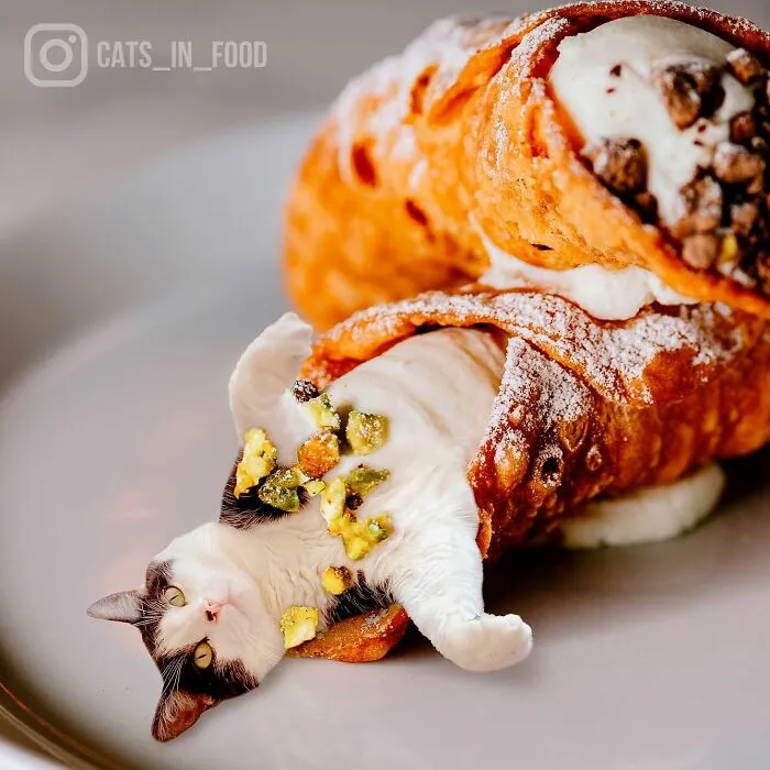 80 Weirdly Delicious Images Of Cats Photoshopped Into Food By This Artist (New Pics)