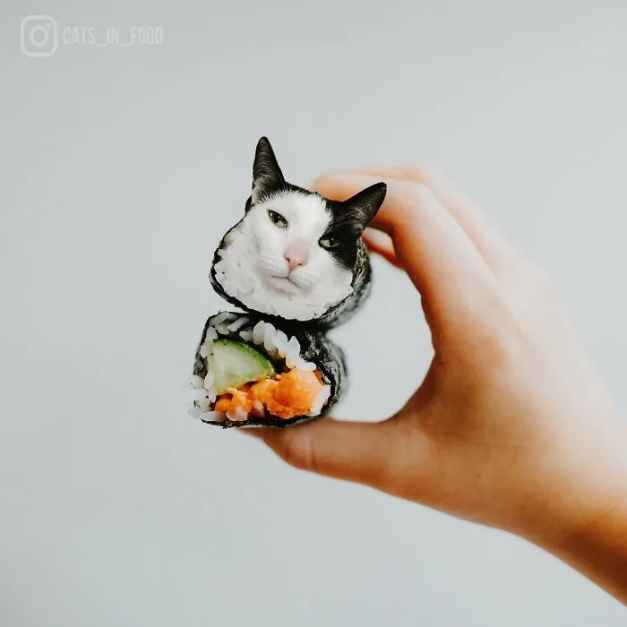 80 Weirdly Delicious Images Of Cats Photoshopped Into Food By This Artist (New Pics)