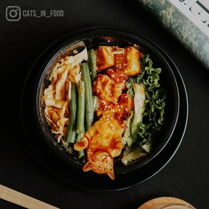 80 Weirdly Delicious Images Of Cats Photoshopped Into Food By This Artist (New Pics)