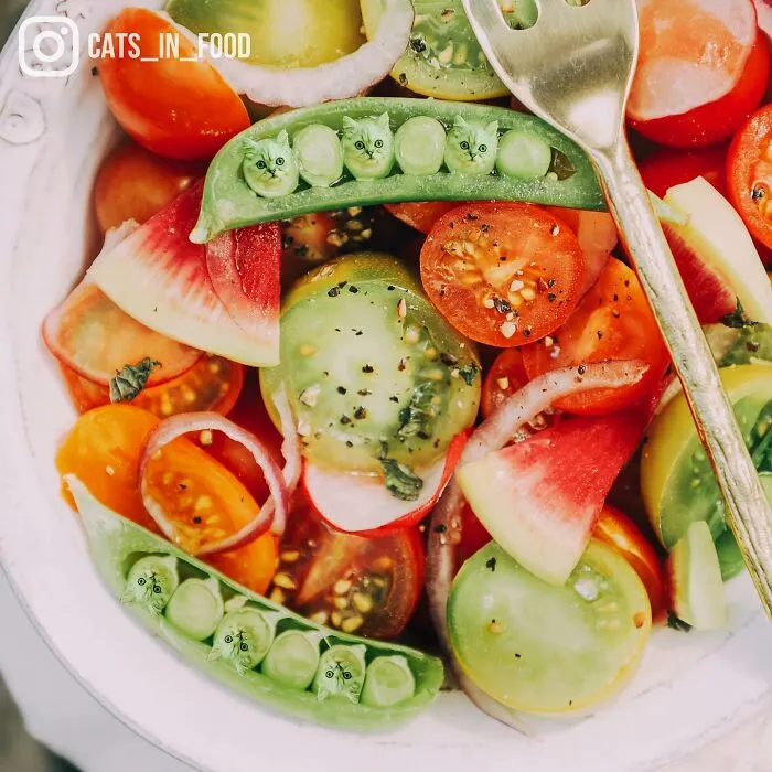 80 Weirdly Delicious Images Of Cats Photoshopped Into Food By This Artist (New Pics)