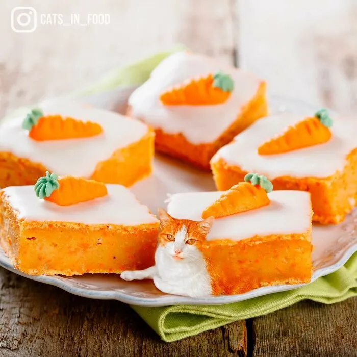 80 Weirdly Delicious Images Of Cats Photoshopped Into Food By This Artist (New Pics)