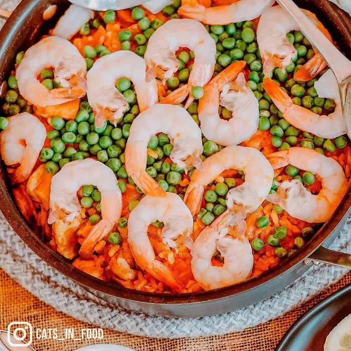 80 Weirdly Delicious Images Of Cats Photoshopped Into Food By This Artist (New Pics)