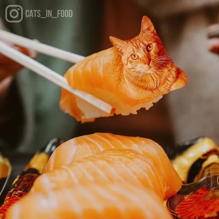 80 Weirdly Delicious Images Of Cats Photoshopped Into Food By This Artist (New Pics)
