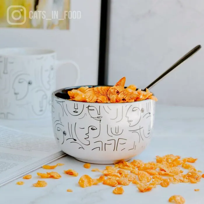 80 Weirdly Delicious Images Of Cats Photoshopped Into Food By This Artist (New Pics)