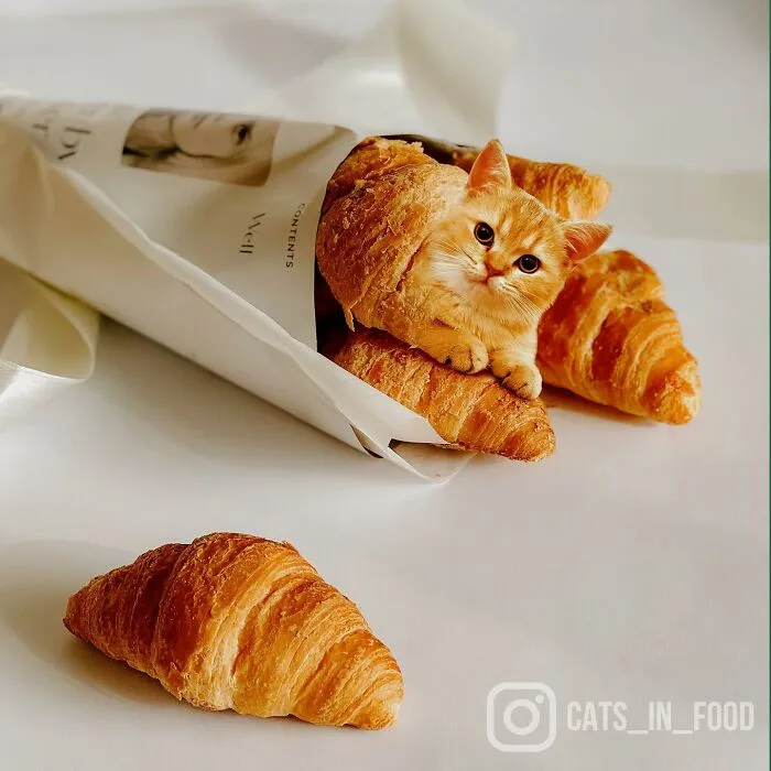 80 Weirdly Delicious Images Of Cats Photoshopped Into Food By This Artist (New Pics)