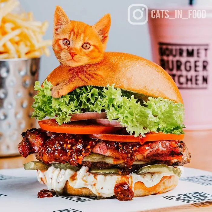 80 Weirdly Delicious Images Of Cats Photoshopped Into Food By This Artist (New Pics)