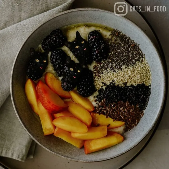 80 Weirdly Delicious Images Of Cats Photoshopped Into Food By This Artist (New Pics)