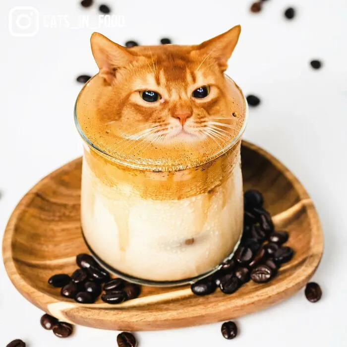 80 Weirdly Delicious Images Of Cats Photoshopped Into Food By This Artist (New Pics)