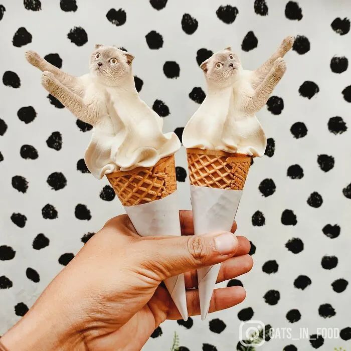 80 Weirdly Delicious Images Of Cats Photoshopped Into Food By This Artist (New Pics)