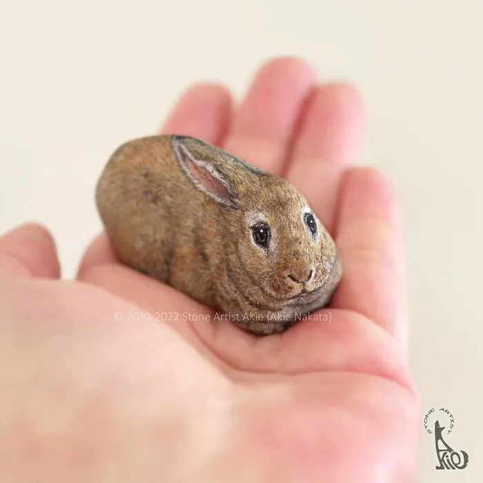 39 Animal Paintings On Natural Stones By Akie Nakata (New Pics)