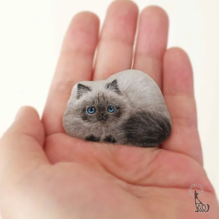 39 Animal Paintings On Natural Stones By Akie Nakata (New Pics)