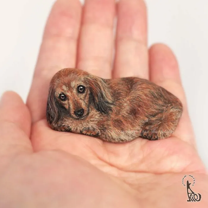39 Animal Paintings On Natural Stones By Akie Nakata (New Pics)