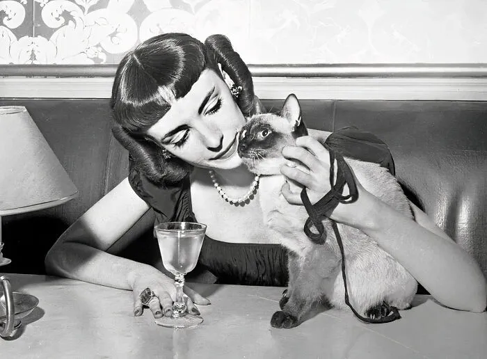 30 Vintage Photos Of Cats Posing With Famous People And Interesting Personalities (New Pics)