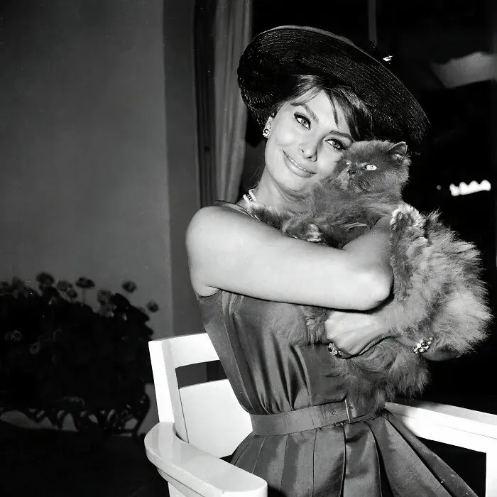 30 Vintage Photos Of Cats Posing With Famous People And Interesting Personalities (New Pics)