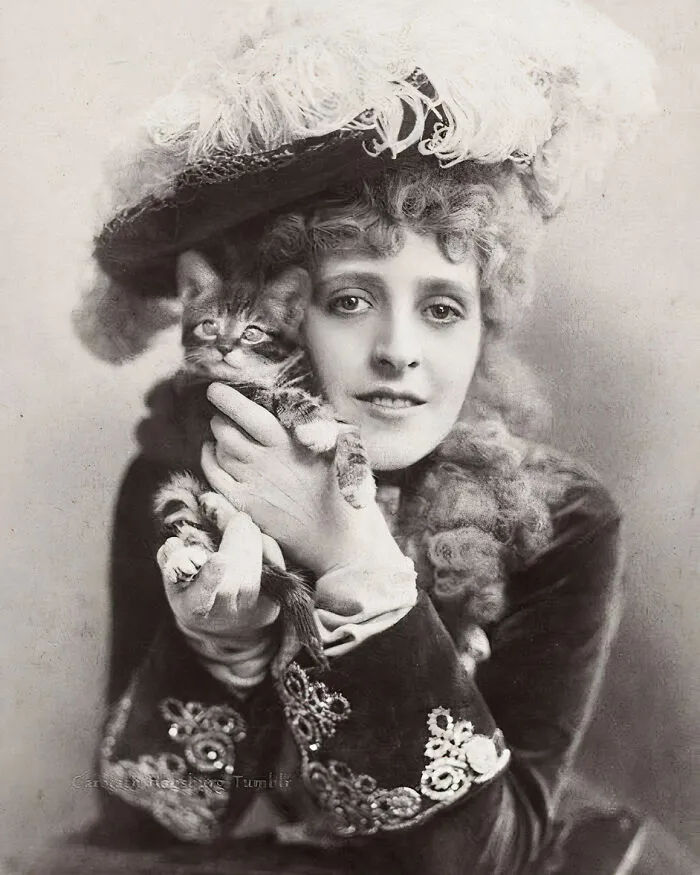 30 Vintage Photos Of Cats Posing With Famous People And Interesting Personalities (New Pics)